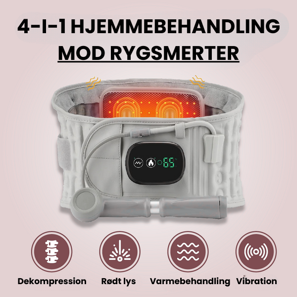 Silvra 4-i-1 Rygbælte