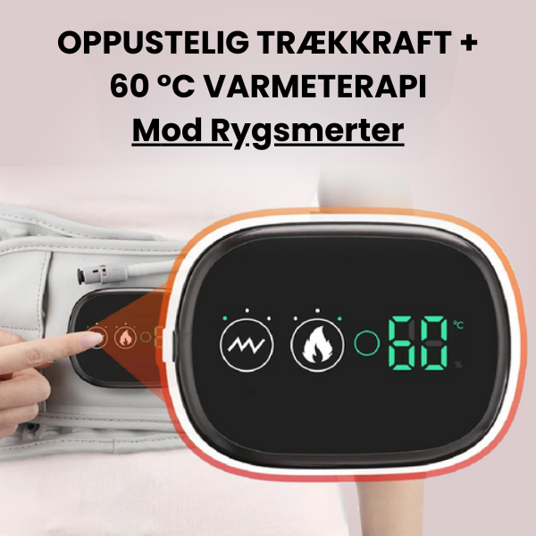 Silvra 4-i-1 Rygbælte